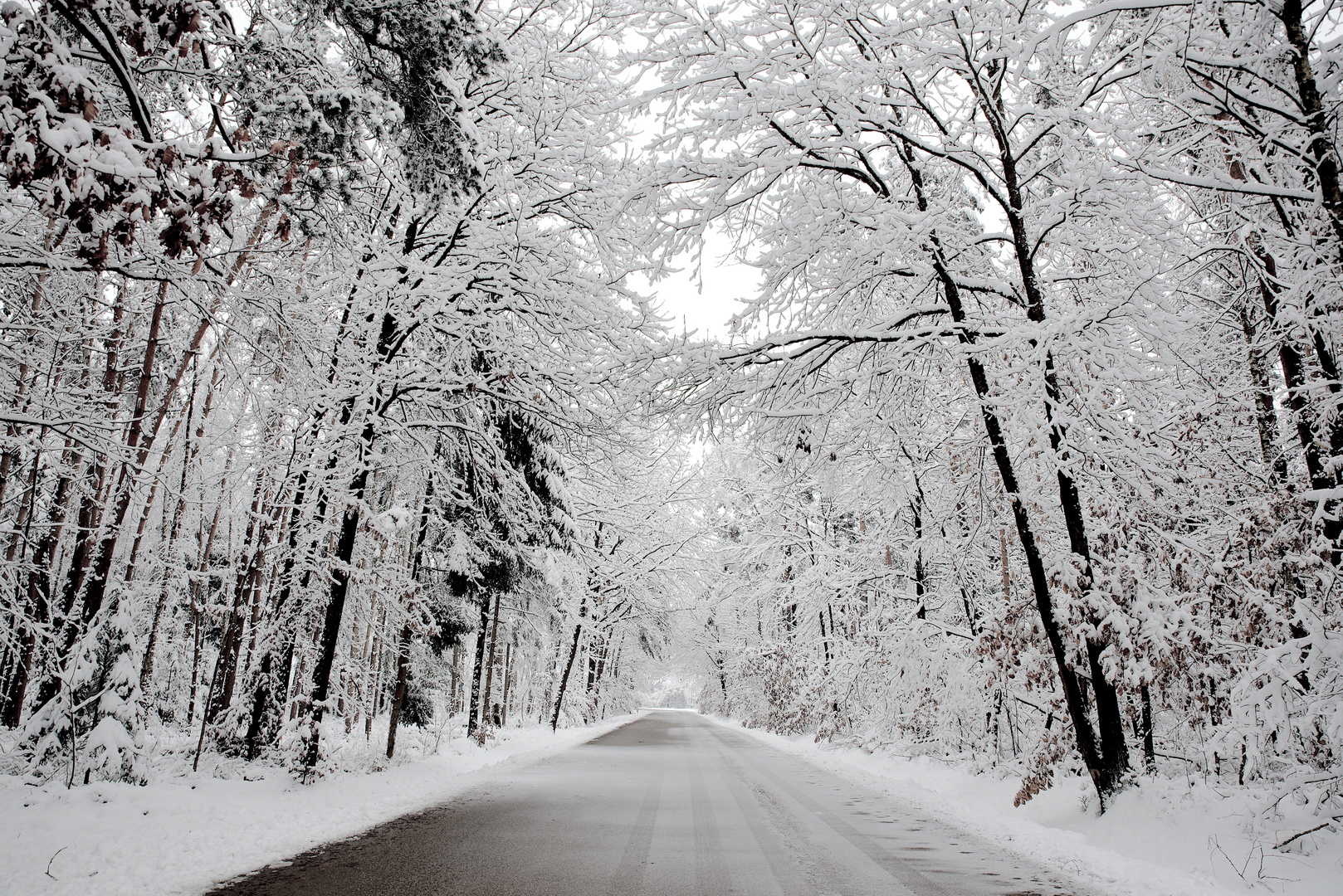  Road to the winter wonderland 