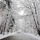  Road to the winter wonderland 