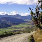 Road to Treble Cone