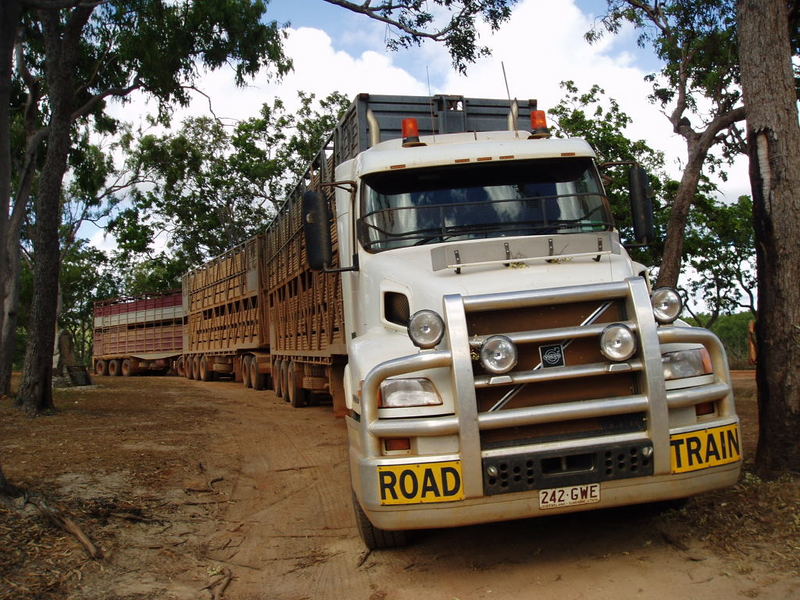 Road Train