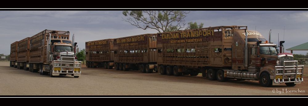 Road Train