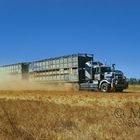 Road Train