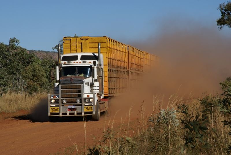 Road Train