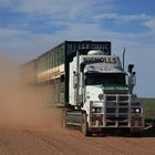 Road Train auf dem Oodnadatta Track