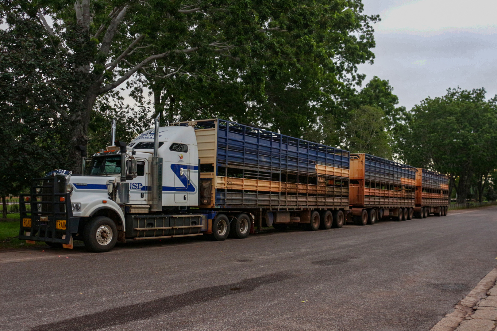 Road Train