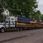 Road Train