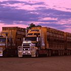 Road Trains am Oasis Roadhouse