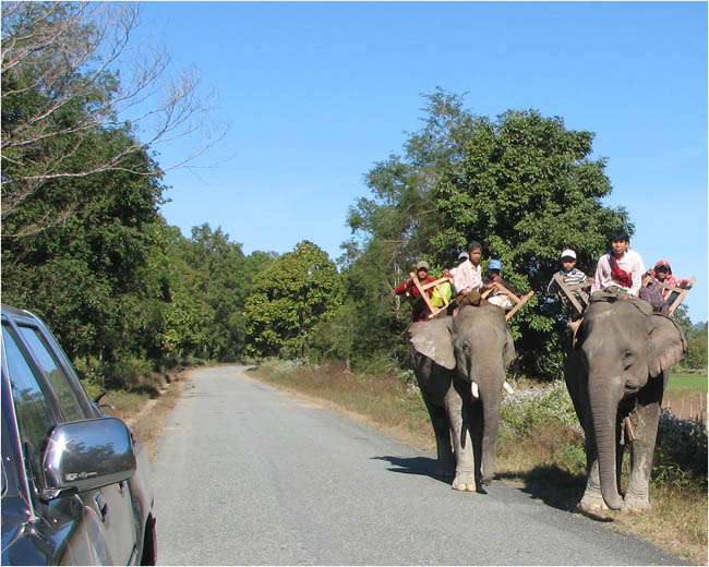 road transport