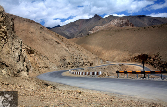 Roada of Ladakh!