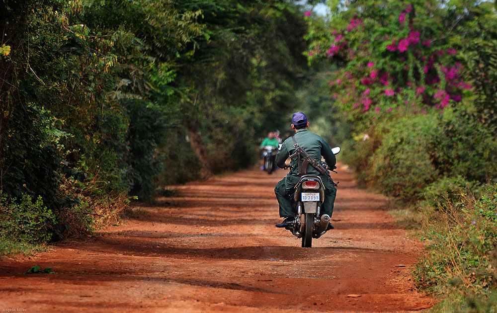 roadmovie