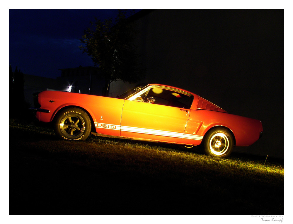 Roadrunner - Fords Mustang GT 350