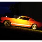 Roadrunner - Fords Mustang GT 350