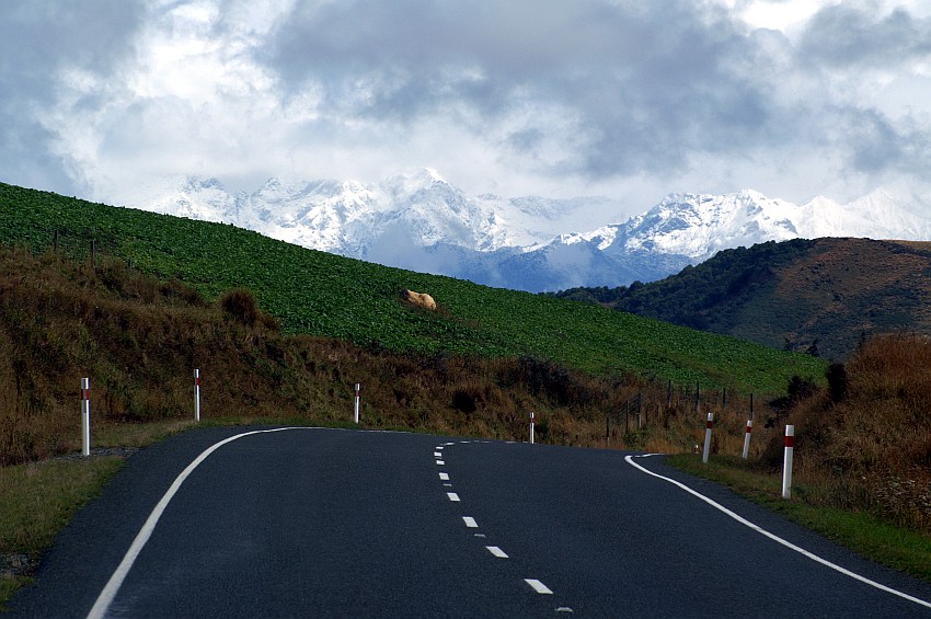 Roads in Neuseeland