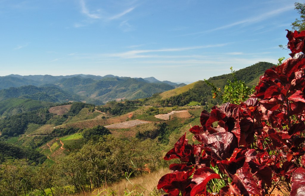 ROADS IN THE MOUNTAINS. INTERIOR OF BRAZIL