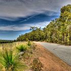 Road's Wine Country Drive