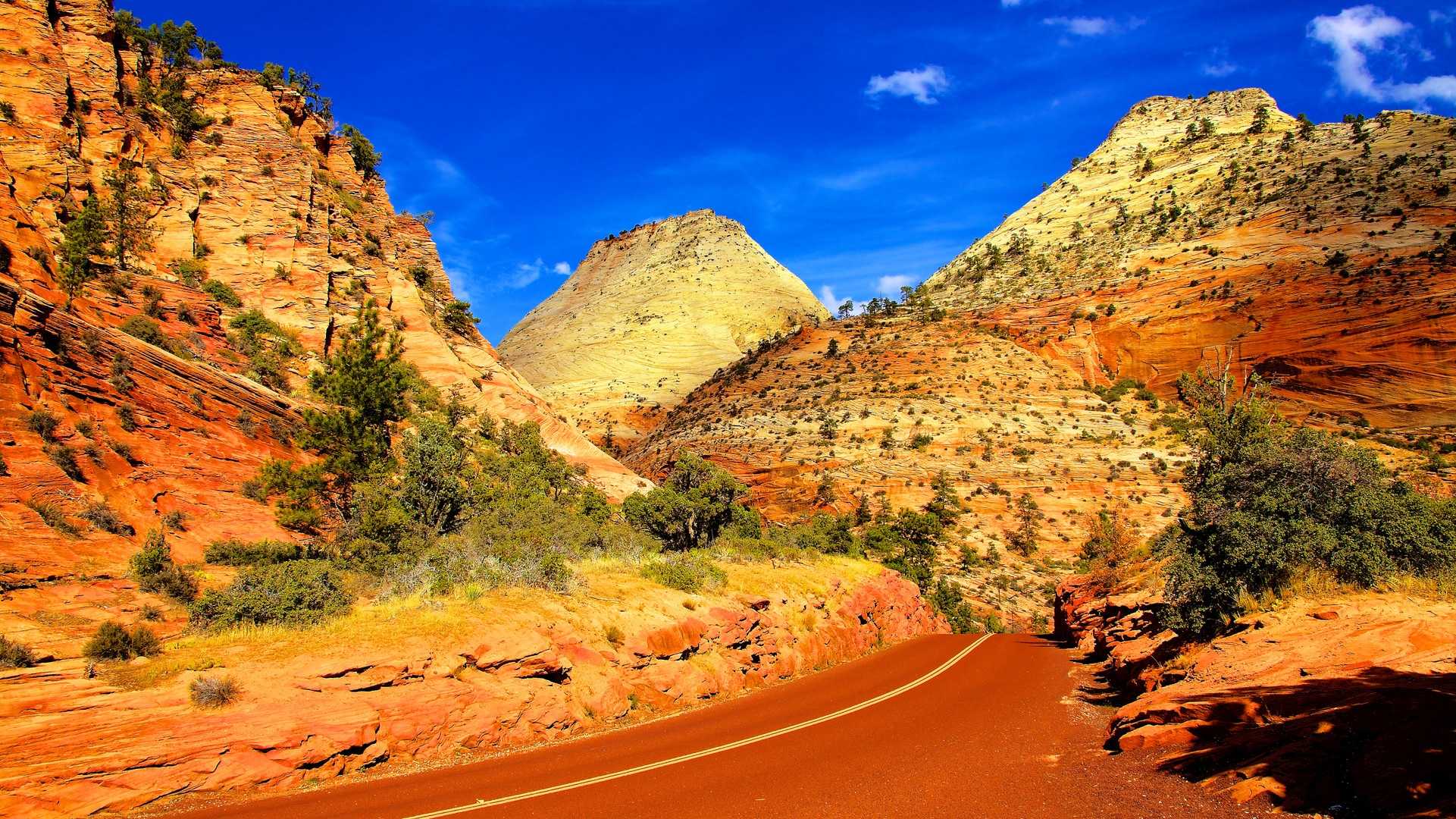 Roadscene at Zion