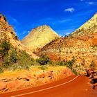 Roadscene at Zion