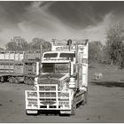 Roadtrain