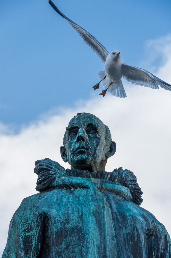 Roald Amundsen mit Möwe in TROMSØ