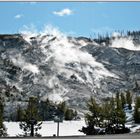 Roaring Mt. im Yellowstone