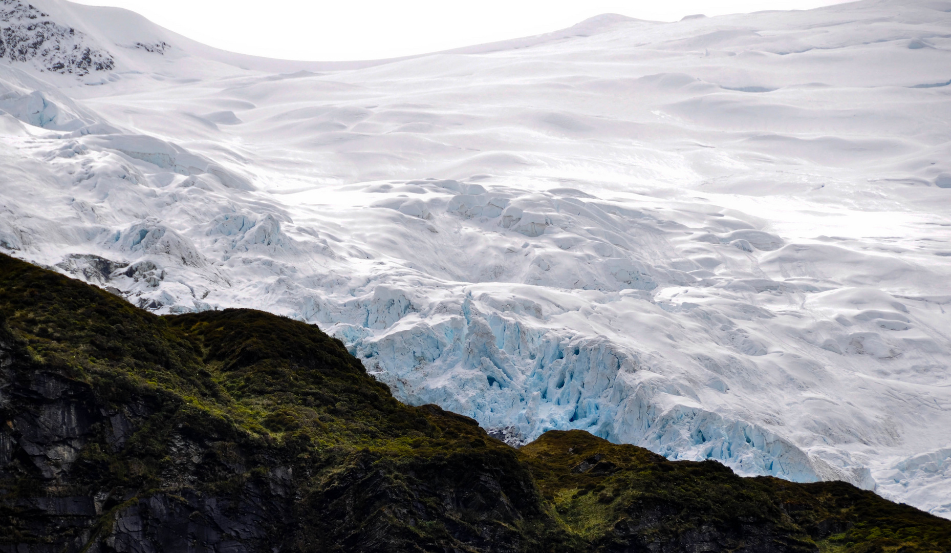 Rob Roy Glacier - New Zealand