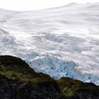 Rob Roy Glacier - New Zealand