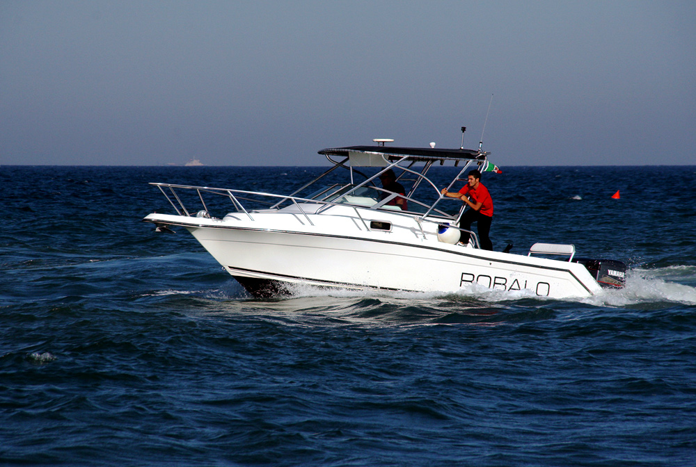 ROBALO