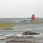 Robbe -3- Robben und Flugverkehr