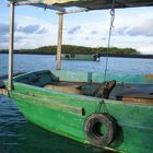 Robbe im Boot, Galapagos Inseln (Juni 2006)