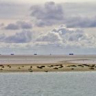 Robbenbank vor Amrum mit Blick auf die Halligen