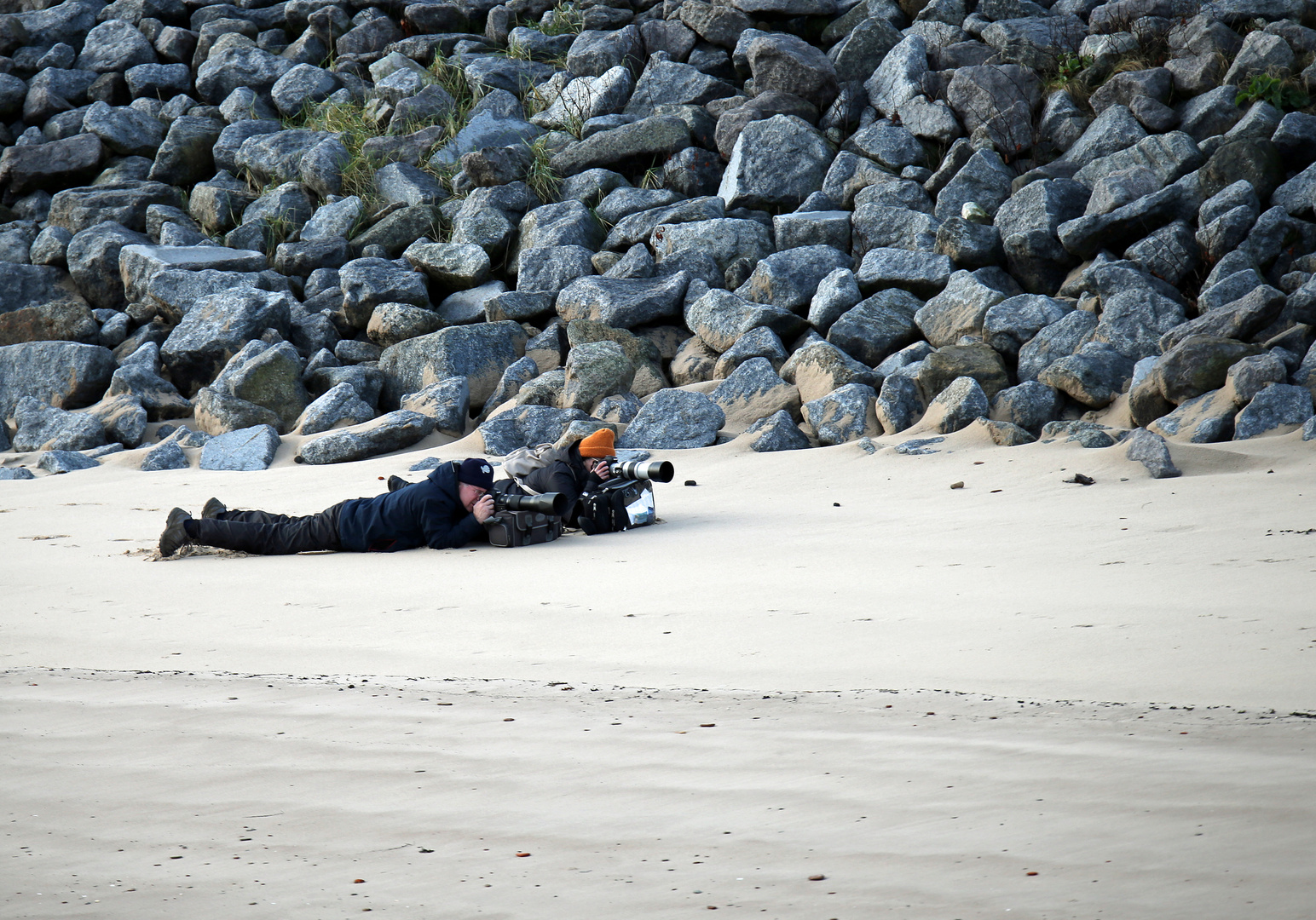 "Robbenjäger" auf Helgoland