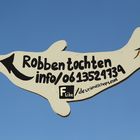 Robbentouren