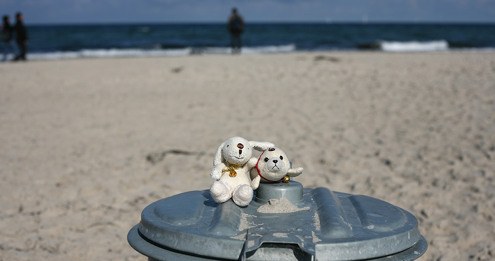 robbi und häschen in urlaubslaune