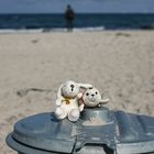 robbi und häschen in urlaubslaune