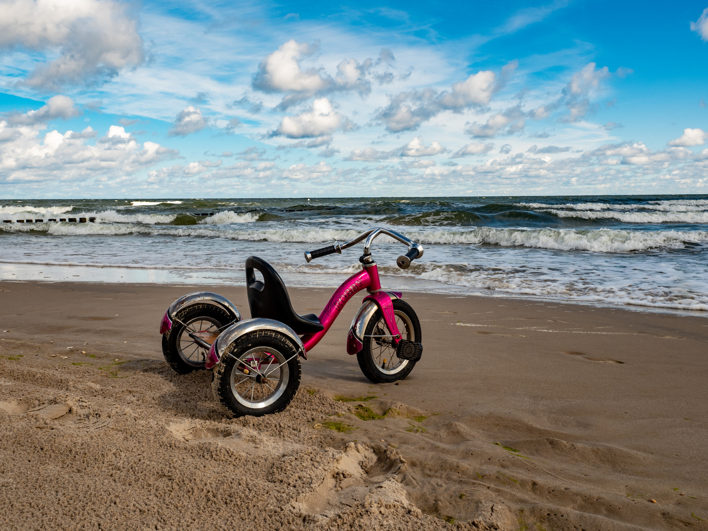 Robby am Meer