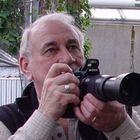 User Profile Photo