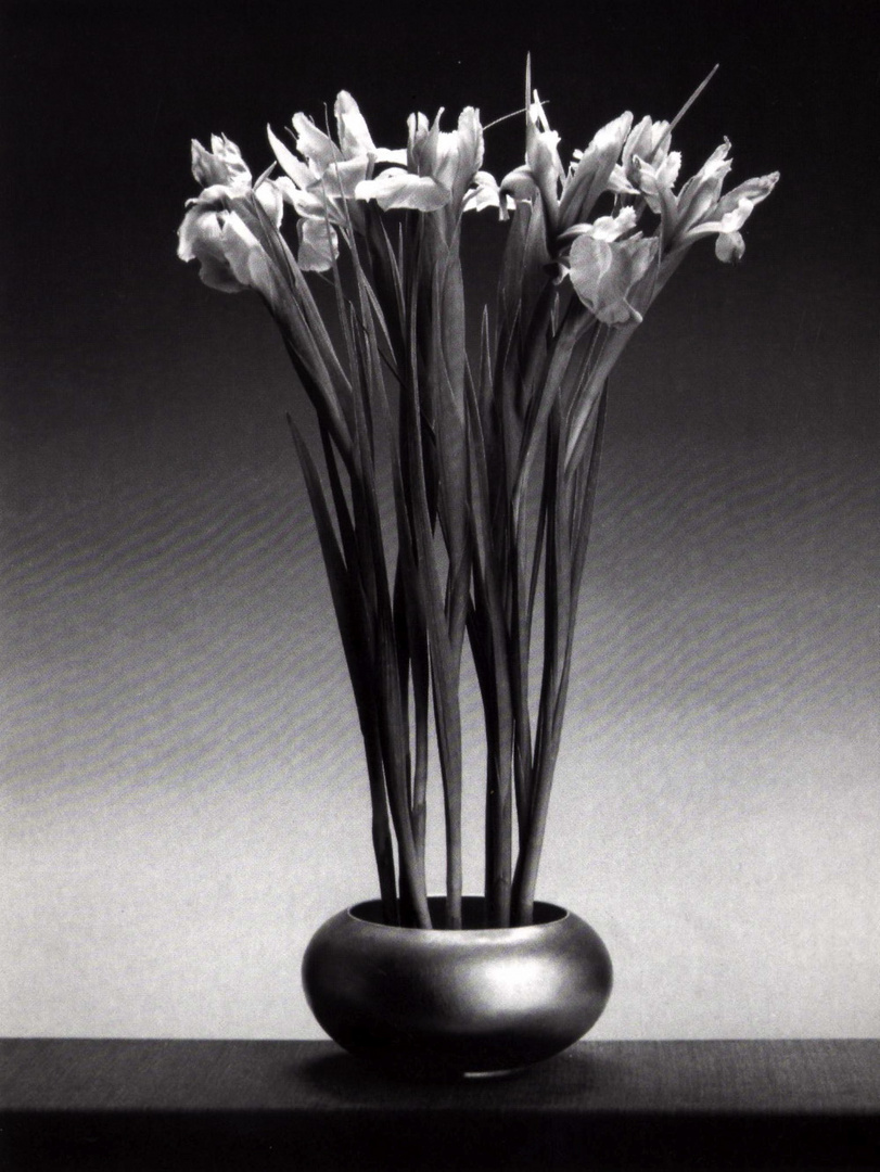 Robert Mapplethorpe - 1988,