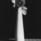 Robert Mapplethorpe - 1988..