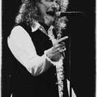 Robert Plant