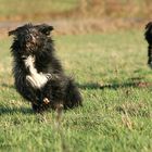 Robert und Mutter Sally