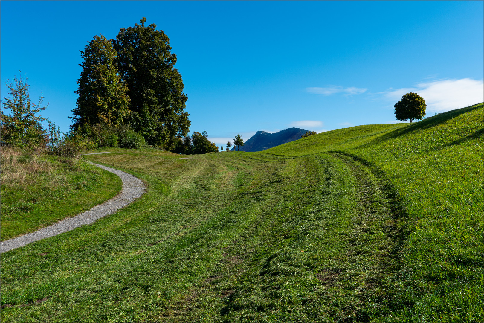 Robert- Zingg- Weg