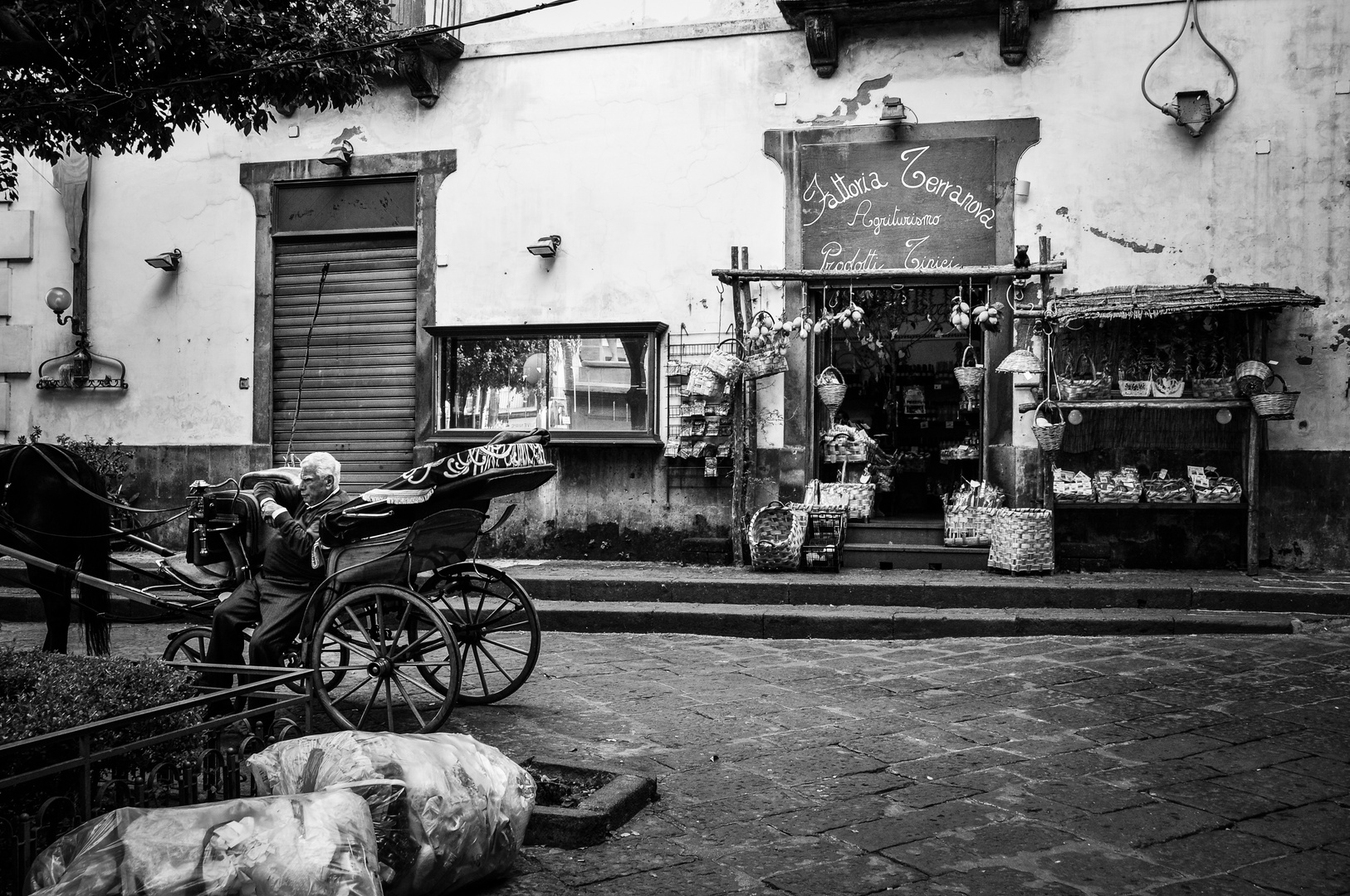 Roberto il vecchio cocchiere....