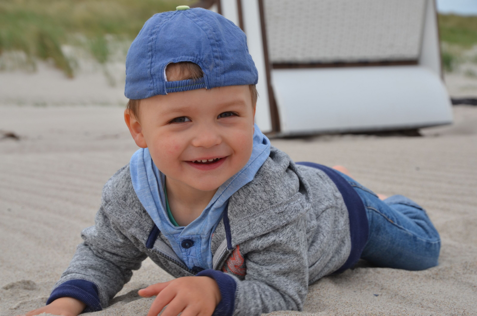 Robin am Strand