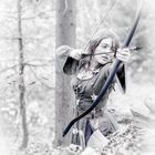 Robin Hood by Tom Zehnder