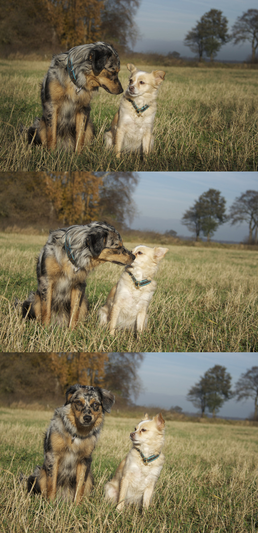 Robin und Maja im Herbst