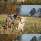 Robin und Maja im Herbst