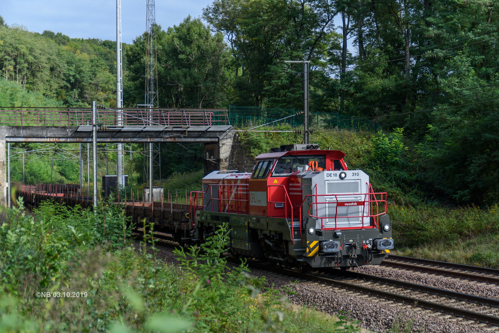 Robinien am Bahndamm