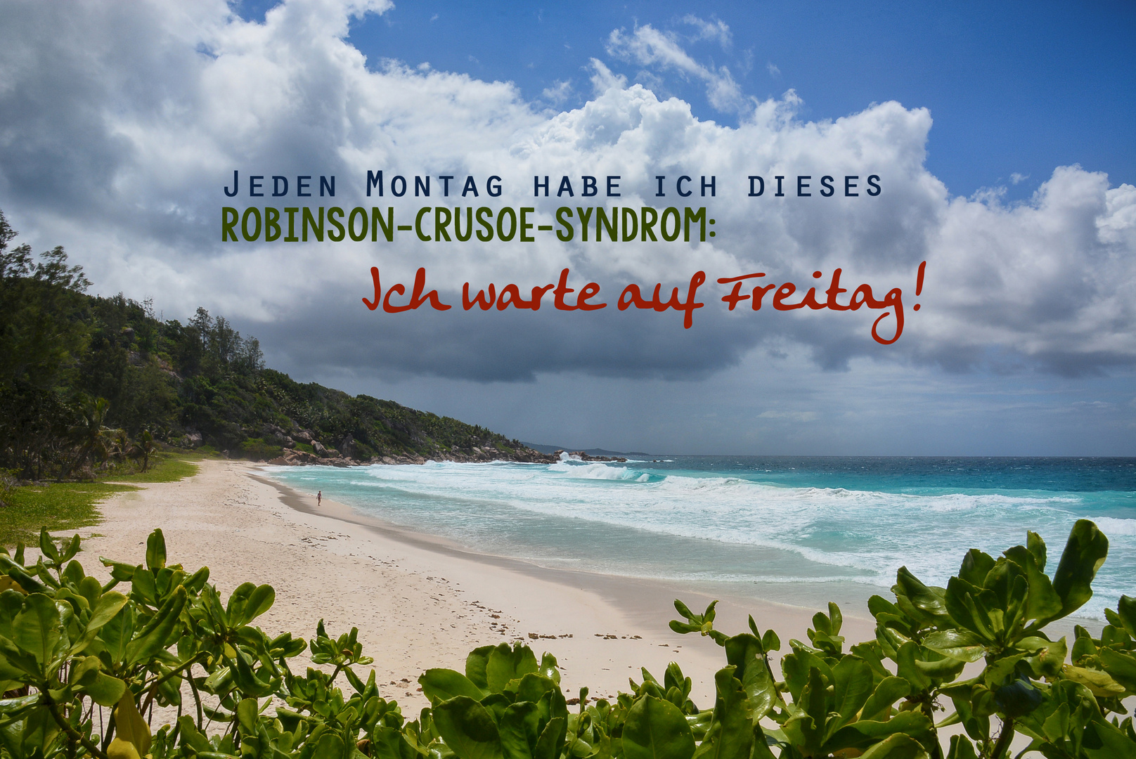 Robinson Effekt Foto & Bild spruch, montag, rebekka d. Bilder auf