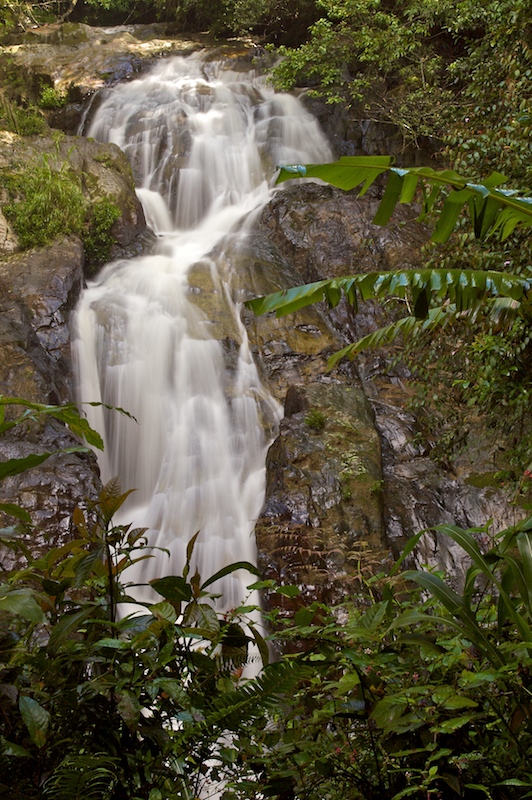 Robinson Falls