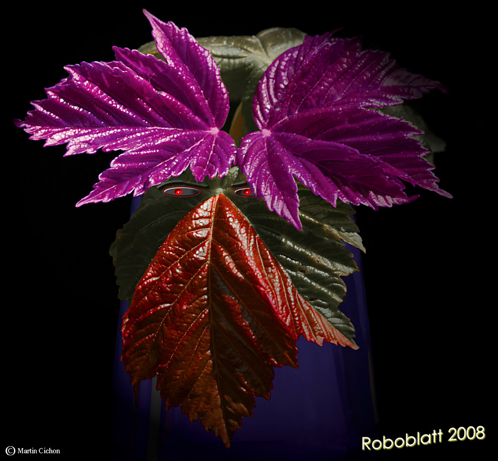 Roboblatt 2008